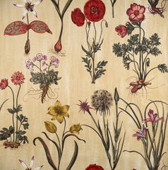 Scalamandre Wallpaper WP81602-004 Florentina Multi On Cream