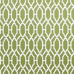Scalamandre Wallpaper WP88325-005 Pavilion Trellis Moss