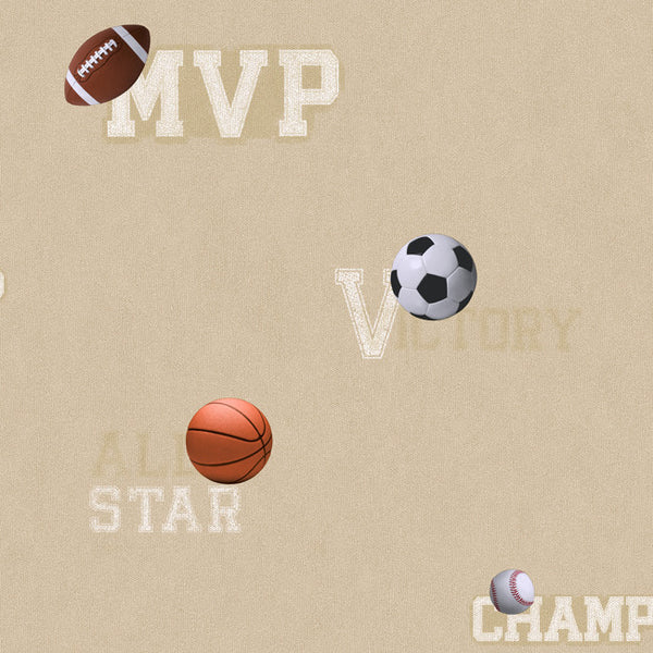 York ZB3190 Boys Will Be Boys Sports Ball Wallpaper